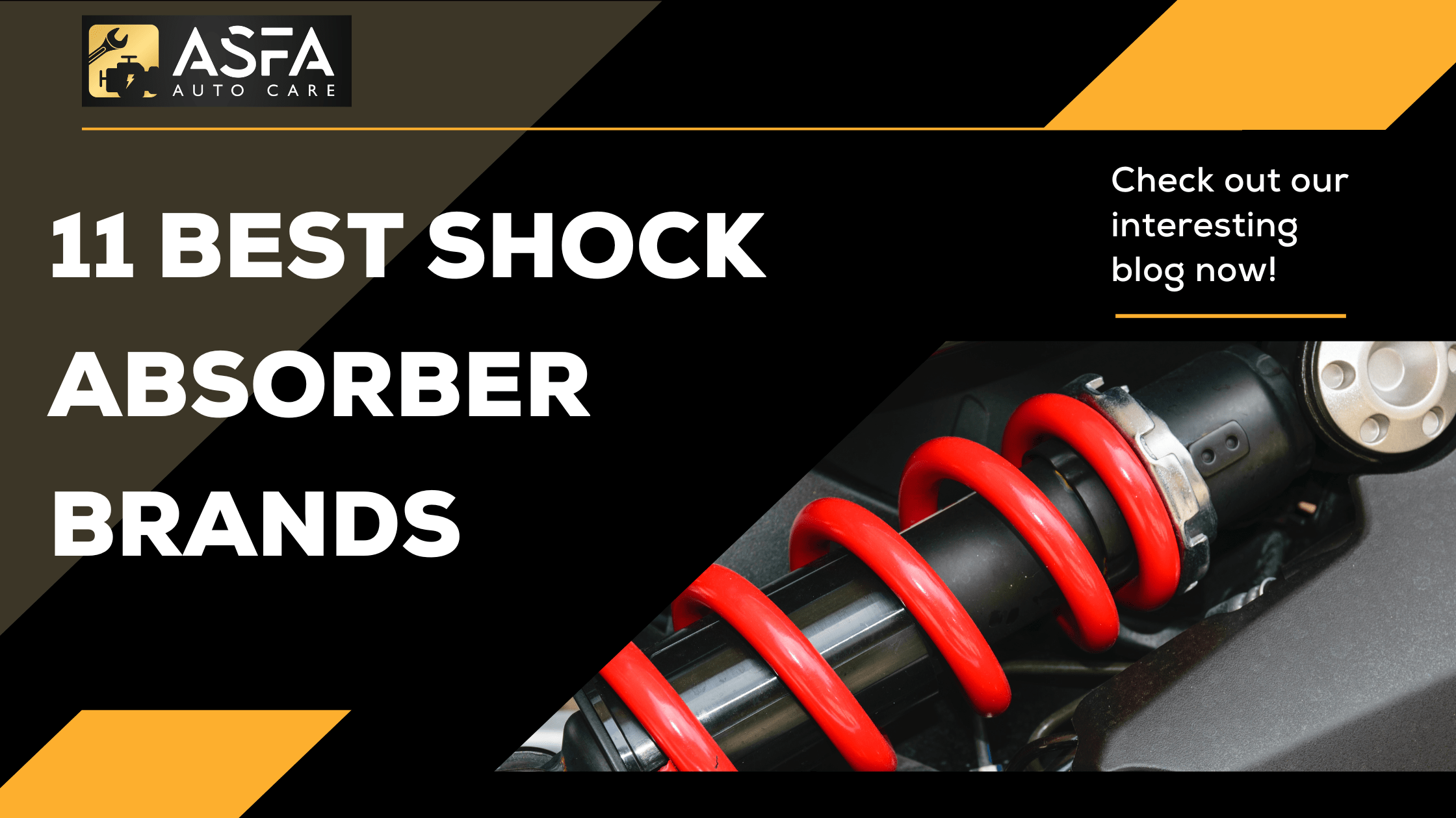 We are Shock Absorber