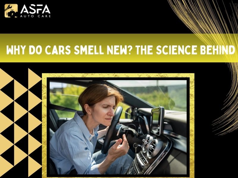 Why Do Cars Smell New? The Science Behind It